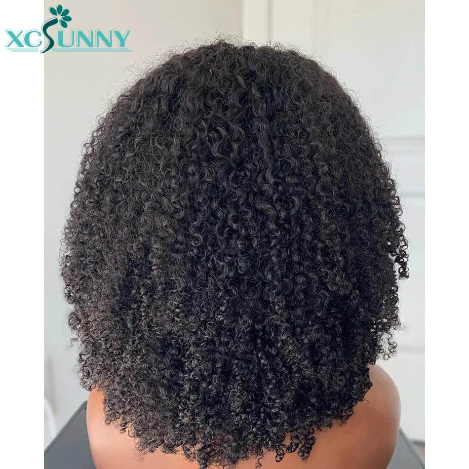Kinky Curly Human Hair Wigs