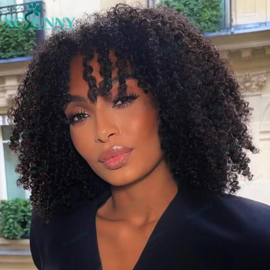 Kinky Curly Human Hair Wigs