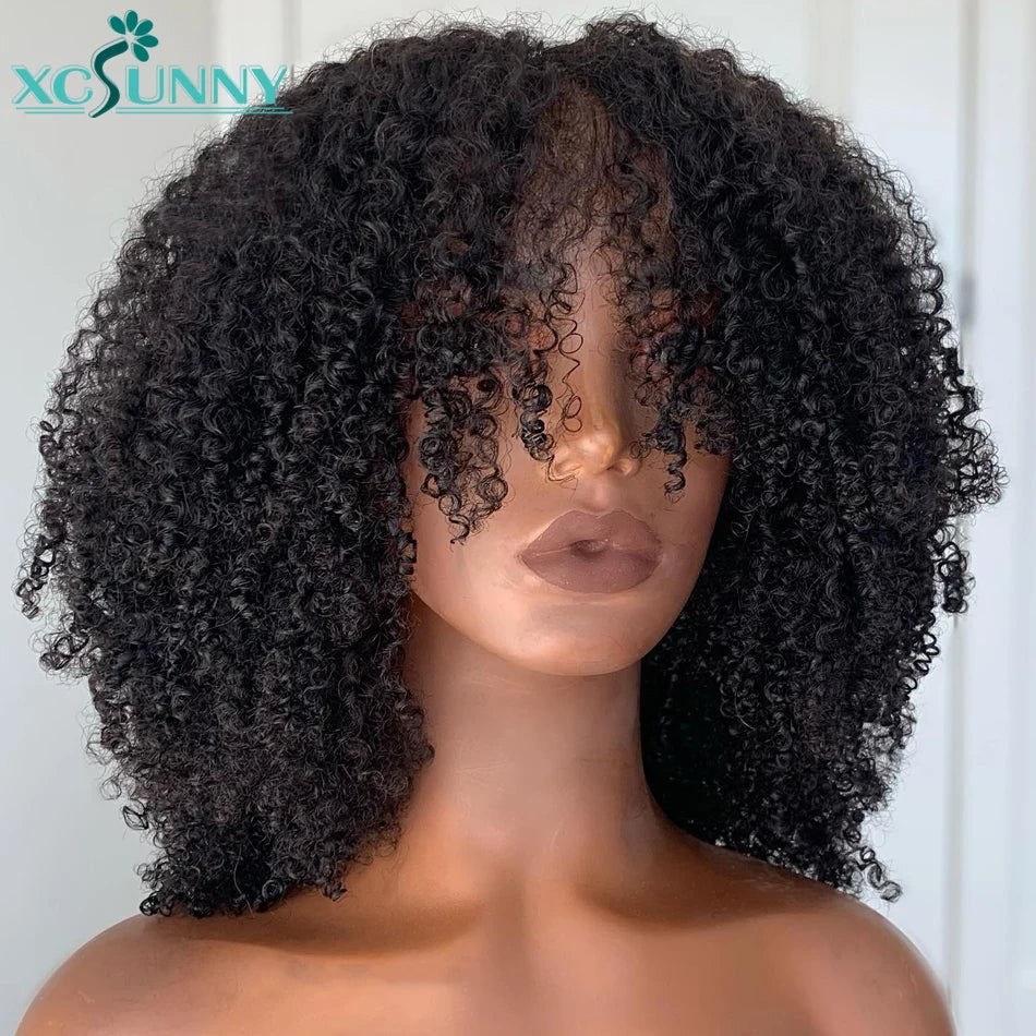 Kinky Curly Human Hair Wigs