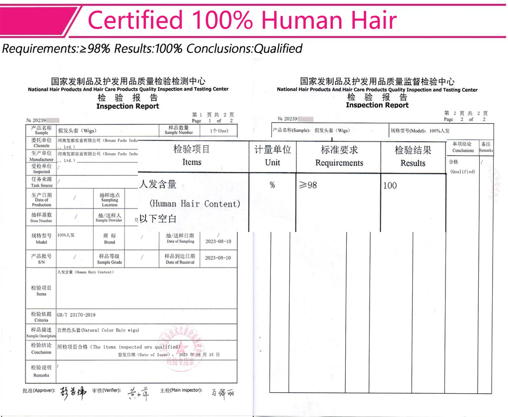 Highlight Wig Human Hair