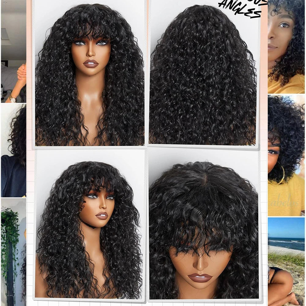 Curly Human Hair Wigs